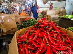 Harga Cabai Palembang Capai Rp 75.000/Kg, Dipicu Kemarau-Rantai Pasok