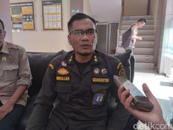 26.979 Sapi NTB Dikirim ke Jabodetabek untuk Kurban 2026