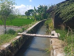 Korban Laka Motor Tewas Terapung di Saluran Irigasi Wonosari Klaten