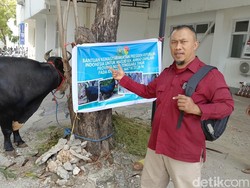 Sapi Kurban 1,1 Ton dari Prabowo untuk Masjid Ahmad Dahlan Kupang