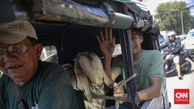 Jelang Hari Raya Iduladha 1447 H, aktivitas jual beli hewan kurban di Pasar Kambing Tanah Abang, Jakarta Pusat meningkat signifikan, Selasa (26/5).
