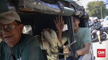 Jelang Hari Raya Iduladha 1447 H, aktivitas jual beli hewan kurban di Pasar Kambing Tanah Abang, Jakarta Pusat meningkat signifikan, Selasa (26/5).