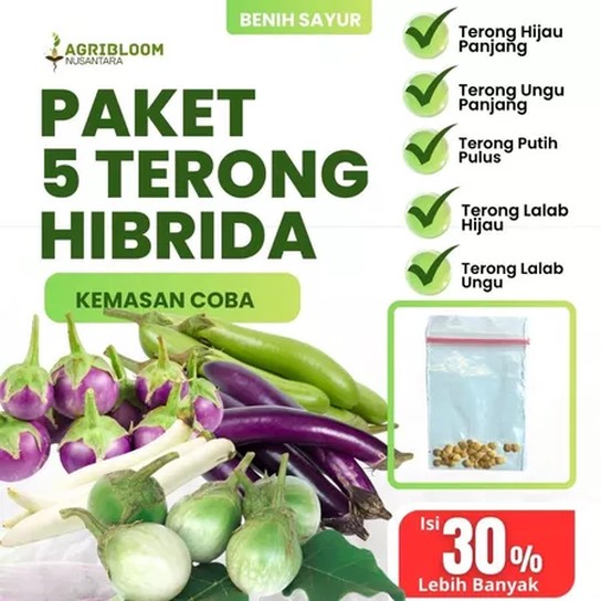 HaiBunda