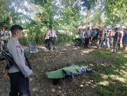 Pria di Gowa Tebas Rekannya hingga Tewas gegara Diejek Jual Ikan Formalin