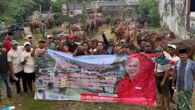 DPD PDI Perjuangan Jawa Timur membagikan 485 ekor sapi kurban