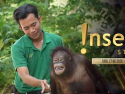Insert Story: Lihat Berbagai Binatang di Solo Safari, Bahaya Makanan Gosong