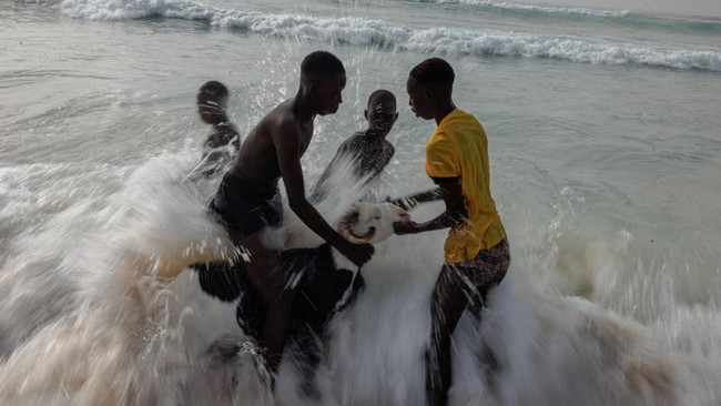 Boys wash a sheep on the beach ahead of the sacred ritual of sacrifice for the annual Eid al-Adha celebration in Yoff, Dakar, Senegal, May 26, 2026. REUTERS/Zohra Bensemra     TPX IMAGES OF THE DAY