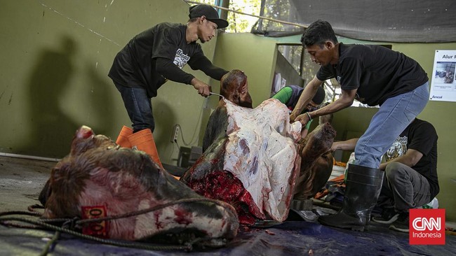 Iduladha 1447 H di Ancol dan Kemayoran, Jakarta, dipenuhi aktivitas penyembelihan hewan kurban pada Rabu, 27 Mei 2026. (CNN Indonesia/Adi ibrahim)
