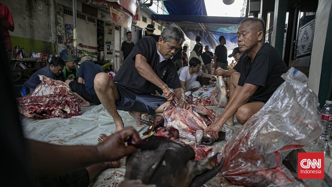 Iduladha 1447 H di Ancol dan Kemayoran, Jakarta, dipenuhi aktivitas penyembelihan hewan kurban pada Rabu, 27 Mei 2026. (CNN Indonesia/Adi ibrahim)