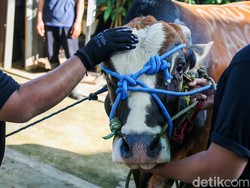 Bacaan Doa Menyembelih Hewan Kurban dan Artinya