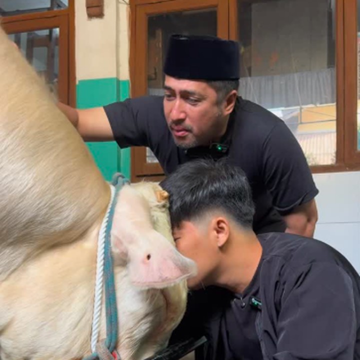<p>Presenter Irfan Hakim kembali berkurban di Hari Raya Idul Adha. Tahun ini, Irfan berkurban sapi yang sudah diperliharanya selama dua tahun. Dalam unggahan di Instagram, Irfan membagikan momen saat ikut menyembelih sapi yang diberi nama Popeye ini. "Selamat jalan ya nak, Terima kasih Popeye untuk 2 tahun ini," ungkapnya. (Foto: Instagram @irfanhakim75)</p>
