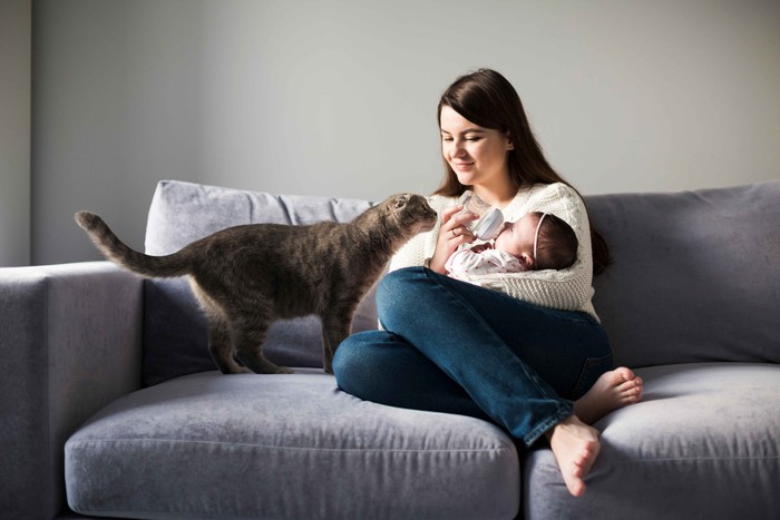 Adalah hal umum ketika ada bayi baru lahir, semua perhatian tertuju padanya. Ternyata, hal ini bisa membuat kucing peliharaan jadi cemburu. Ini membuat mereka merasa tersisih.