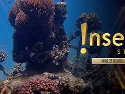 Insert Story: Mengenal Biorock Surga Wisata Bawah Laut Buleleng Bali