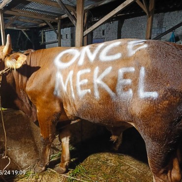 Bolehkah Non Muslim Berkurban seperti Once Mekel? Ini Penjelasannya
