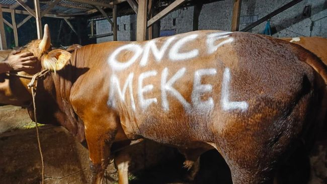 Bolehkah Non Muslim Berkurban seperti Once Mekel? Ini Penjelasannya
