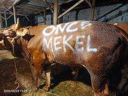 Bolehkah Non Muslim Berkurban seperti Once Mekel? Ini Penjelasannya