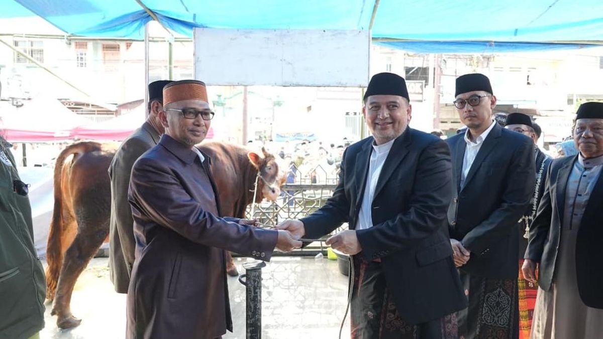 Iduladha 2026, Pemkot Makassar Distribusikan 7.261 Sapi dan 402 Kambing
