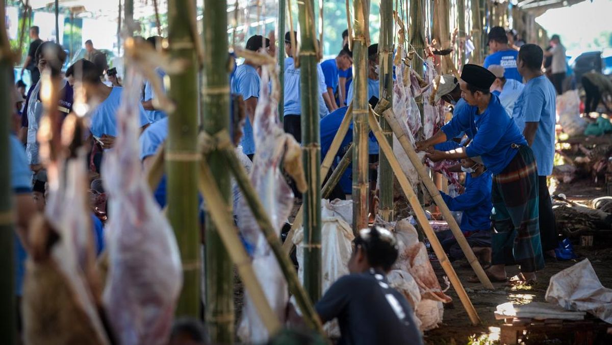 Pemkab Serang Kurban 1.000 Ekor Kambing, Bagikan 9.163 Paket