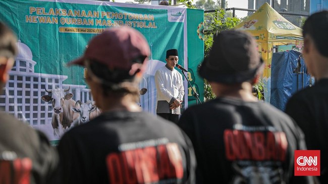 Penjagal menyembelih sapi kurban Presiden Prabowo Subianto di rumah potong hewan Masjid Istiqlal, Kamis (28/5/2026). (CNN Indonesia/Febria Adha L).