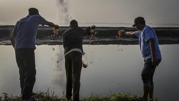 Warga korban Lumpur Lapindo menabur bunga di tanggul penahan lumpur  di Porong, Sidoarjo, Jawa Timur, Jumat (29/5/2026). Tepat 20 tahun lalu, bencana semburan lumpur panas tersebut kejadiannya pada 29 Mei 2006 telah menenggelamkan desa-desa, merusak