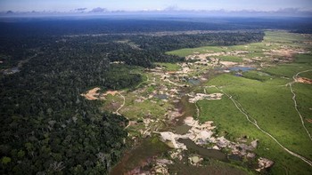 An aerial view shows an illegal gold mine in the Amazon rainforest during a Greenpeace flyover in the municipality of Itaituba, Brazil, May 20, 2026. REUTERS/Adriano Machado