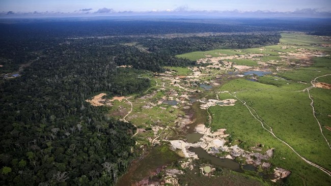 An aerial view shows an illegal gold mine in the Amazon rainforest during a Greenpeace flyover in the municipality of Itaituba, Brazil, May 20, 2026. REUTERS/Adriano Machado