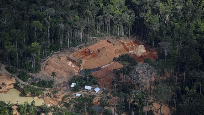 An aerial view shows an illegal gold mine in the Amazon rainforest during a Greenpeace flyover in the municipality of Itaituba, Brazil, May 20, 2026. REUTERS/Adriano Machado