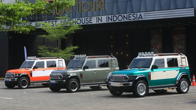 V23 adalah model pertama yang dipasarkan iCAR di Indonesia. Model ini dijual empat varian, yaitu X RWD, OG Y RWD, OG Z iWD, dan Pro Plus iWD.