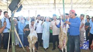 Bupati Serang Sebut Kurban 1.000 Domba Jadi Pilot Project Nasional
