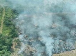 Belasan Hektare Lahan di Enam Daerah Sumsel Terbakar