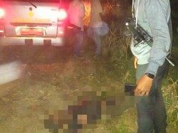 Warga Dengar Teriakan Sebelum Temukan Jasad Mengenaskan di Lampung