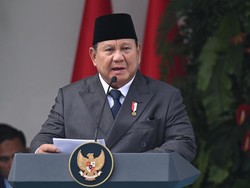 Alasan Prabowo Ekspor Sumber Daya Alam Harus Lewat Anak Usaha Danantara