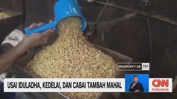 Kedelai
