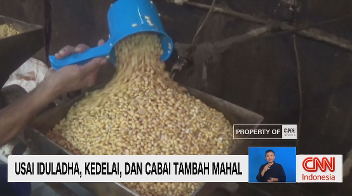 VIDEO: Usai Iduladha, Kedelai dan Cabai Tambah Mahal