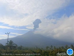 Gunung Lewotobi Laki-laki Meletus, Muntahkan Abu Setinggi 1 Km
