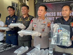 Penyelundup 47 Ribu Benih Lobster di Jambi Sudah 5 Kali, Pelaku Diupah Rp 3 Juta