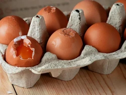 Masih Nekat Makan Telur Retak? Ini Risiko yang Perlu Diwaspadai
