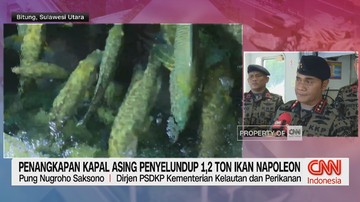 VIDEO: Penangkapan Kapal Asing Penyelundup 1,2 Ton Ikan Napoleon