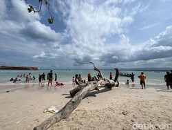 Aktivitas Seru di Pasir Putih Pangandaran, Bisa Snorkeling!