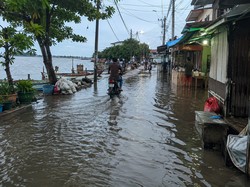 250 KK di Kampung Bugis Mataram Terdampak Banjir Rob