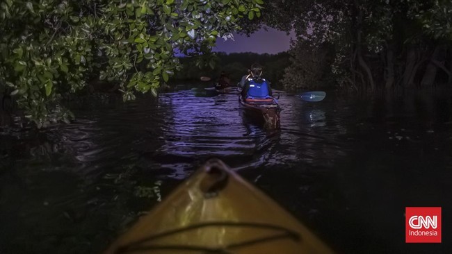 Mendayung Kayak di Hutan Mangrove Taman Wisata Alam Angke Kapuk