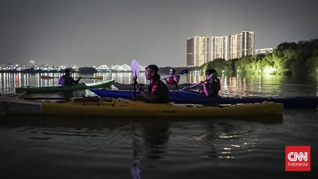 Mendayung Kayak di Hutan Mangrove Taman Wisata Alam Angke Kapuk