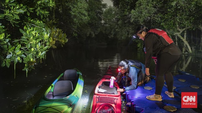 Mendayung Kayak di Hutan Mangrove Taman Wisata Alam Angke Kapuk