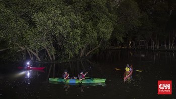 Mendayung Kayak di Hutan Mangrove Taman Wisata Alam Angke Kapuk