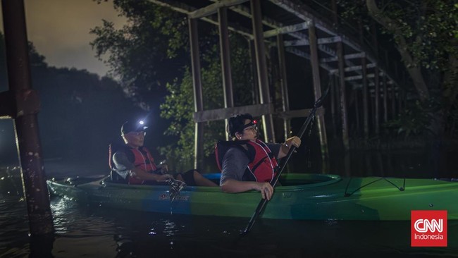 Mendayung Kayak di Hutan Mangrove Taman Wisata Alam Angke Kapuk