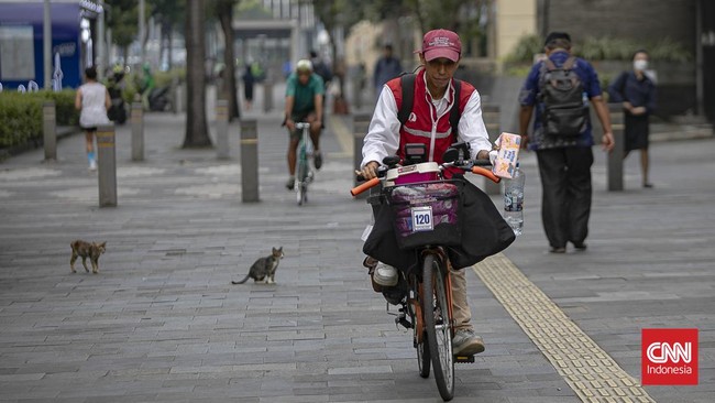 Mengayuh Kebaikan untuk Kucing Jalanan