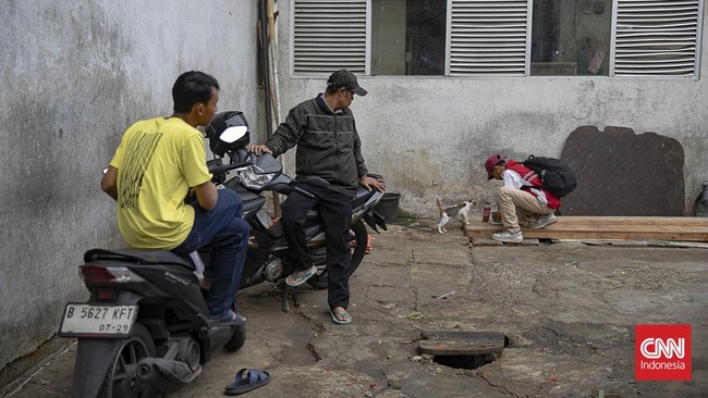 Mengayuh Kebaikan untuk Kucing Jalanan