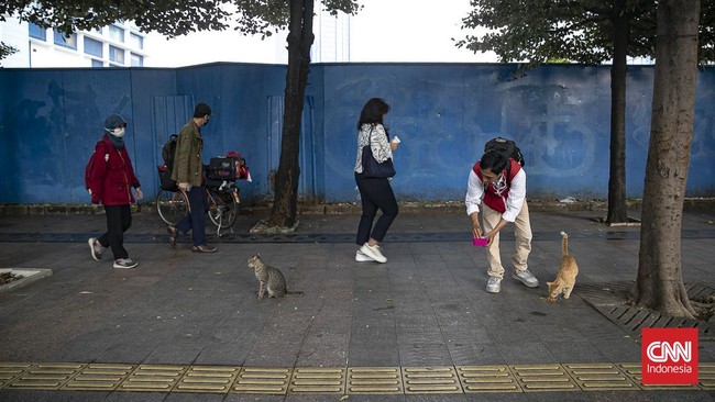 Mengayuh Kebaikan untuk Kucing Jalanan