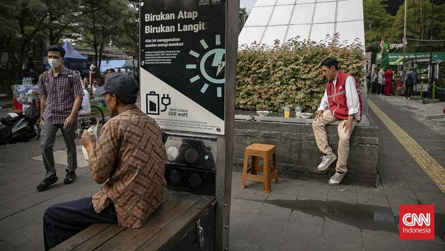 Mengayuh Kebaikan untuk Kucing Jalanan