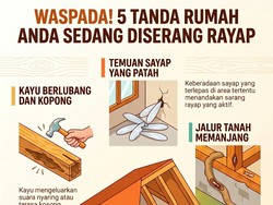 Infografis: 5 Ciri Rumah Lagi Diserang Rayap!